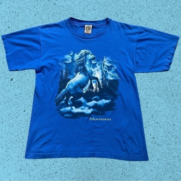 Blue single stitch Montana tourist horse nature lightning gorp vintage t shirt L - Picture 3 of 5